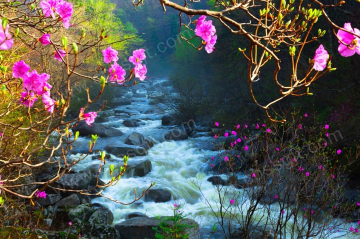 20150428105323468 (1) 20150428105323468 (1)